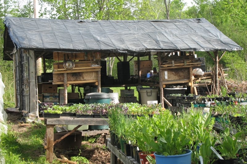 Potting shed