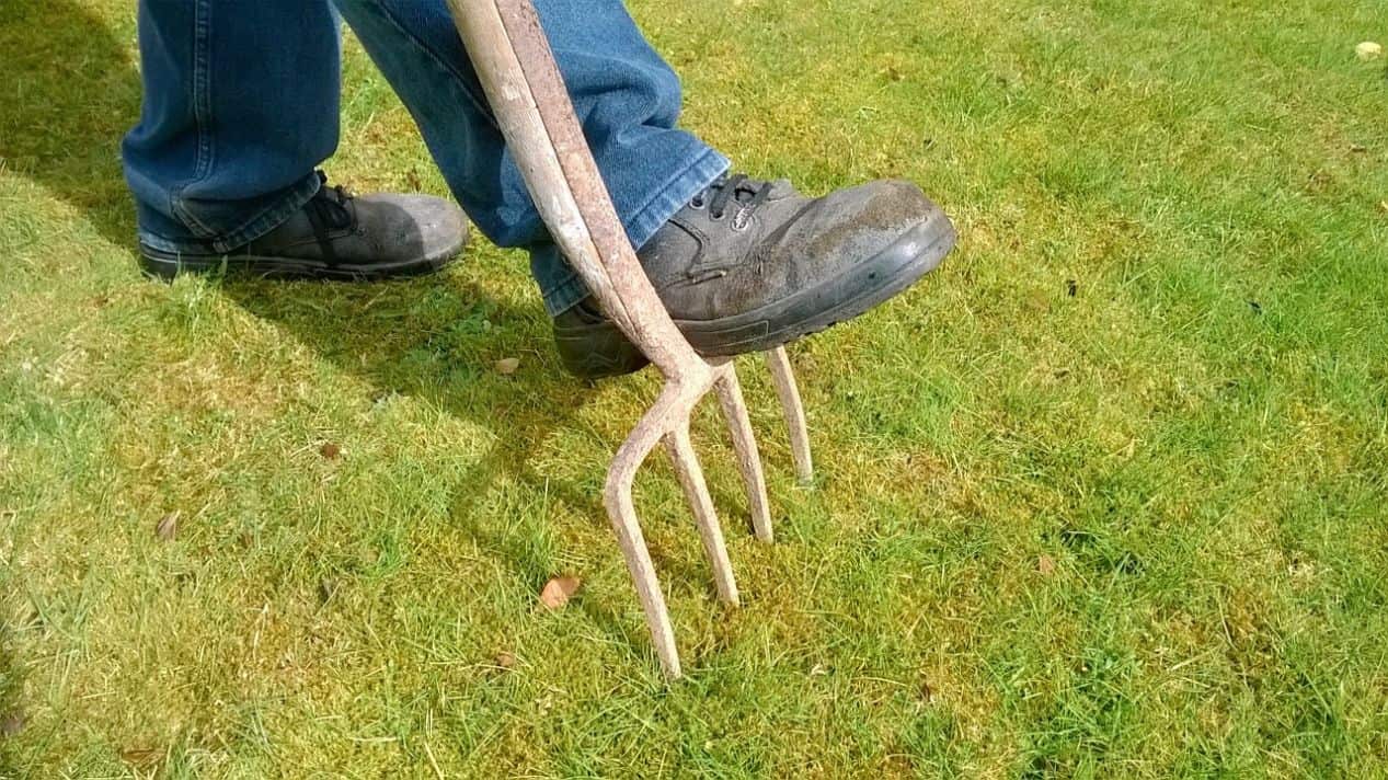 common-gardening-tools-uses-7-digging-fork