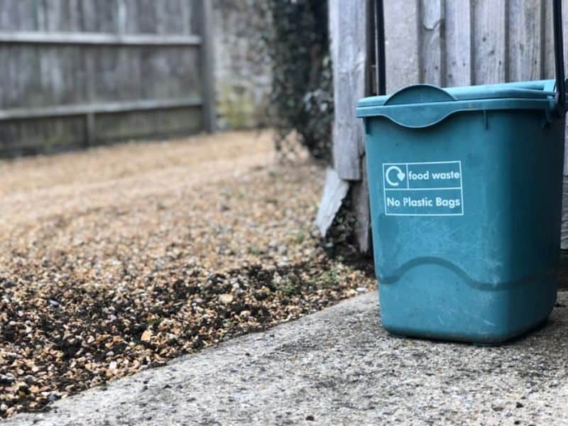 rats-in-the-garden-5-protect-your-compost-bins-unsplash