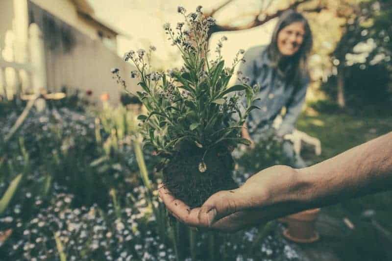 why-gardening-is-good-for-you-1-ecotheraphy